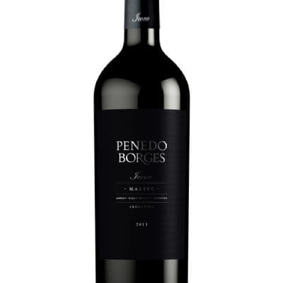 PENEDO BORGES ICONO