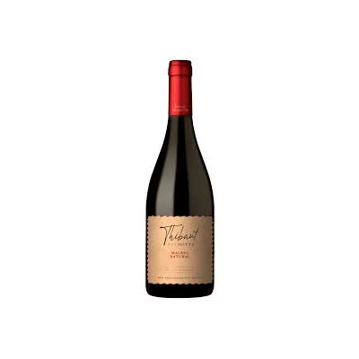 THIBAUT DELMOTTE MALBEC CLASS